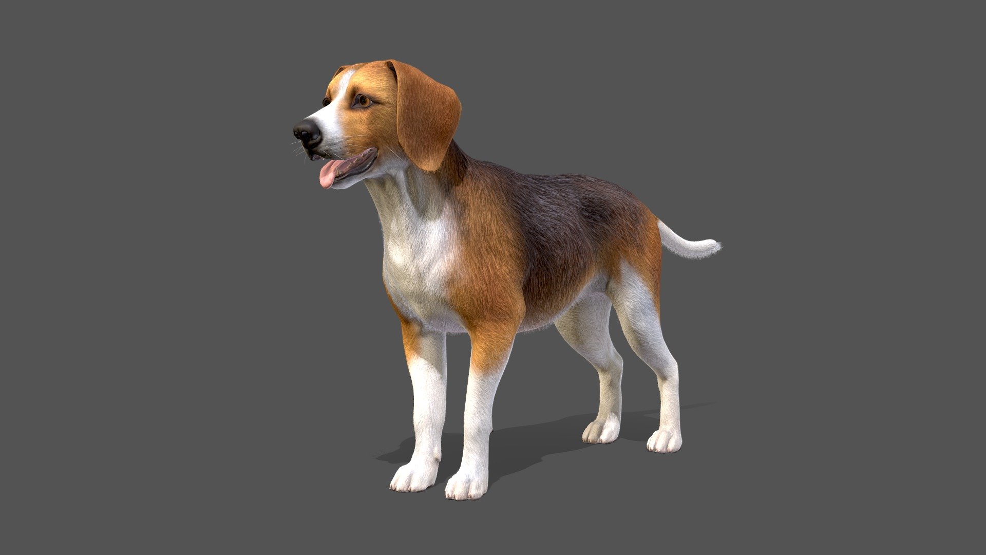 All files with animations are in the attached archive.

The attached archive contains:




3 color options

IP/RM animations

FBX, OBJ, Blend file formats

If you have any questions, write to me by mail.