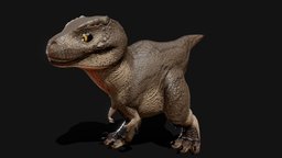 Little T-Rex baby, trex, rex, dinossauro, animated, rigged, dinosaur, dino