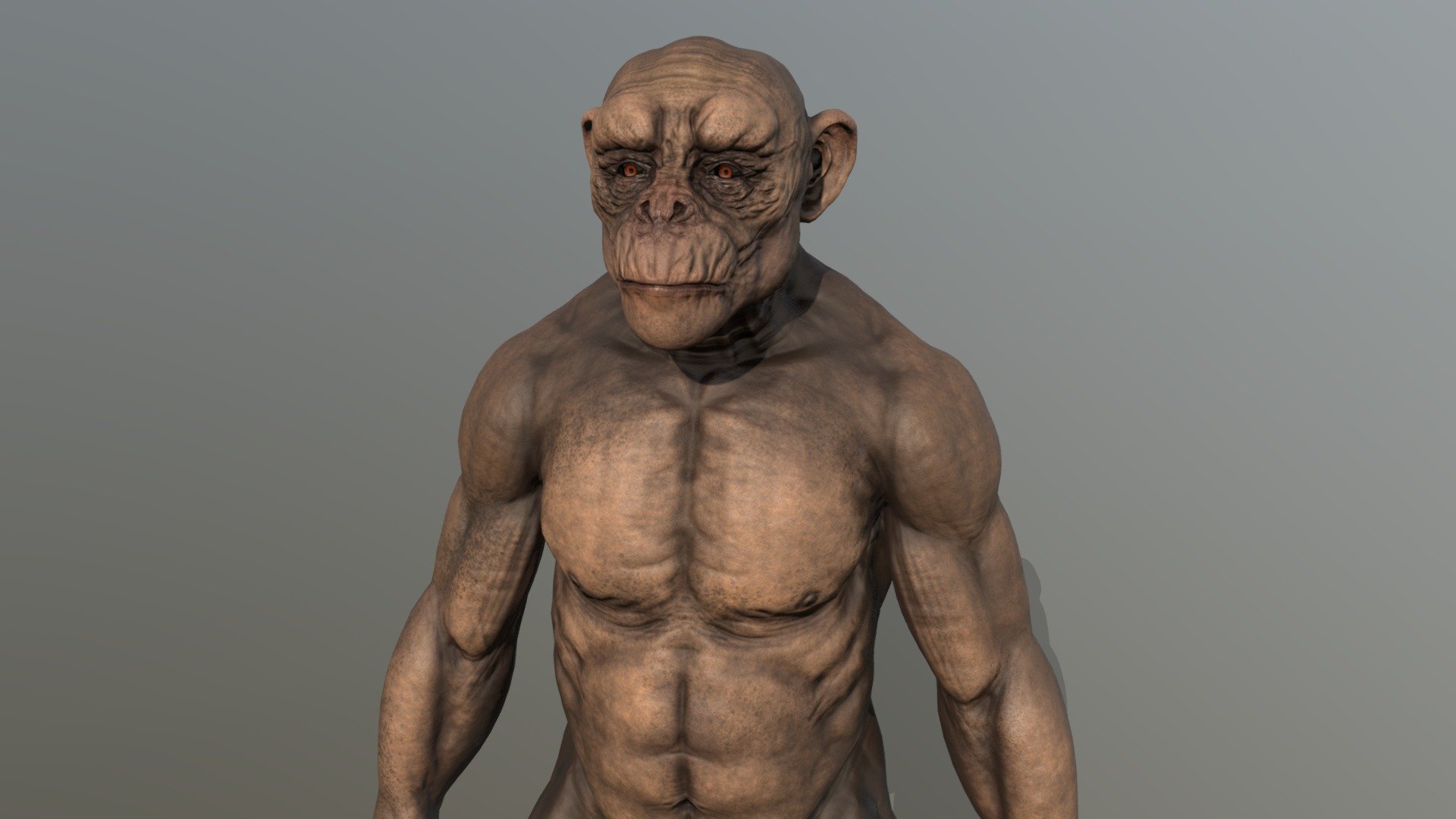 Full body bald chimp. good topology for riggin and animation