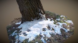 [3D-Scan] "Tree Stub" object, tree, landscape, plants, prop, real, nature, photogrammetry, asset, scan, free, textured