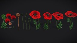 Stylized handpainted Poppy plant, flower, prop, painted, poppy, nature, ukranian, ukraine, bouquet, poppies, handpainted, interior, gameready, environment
