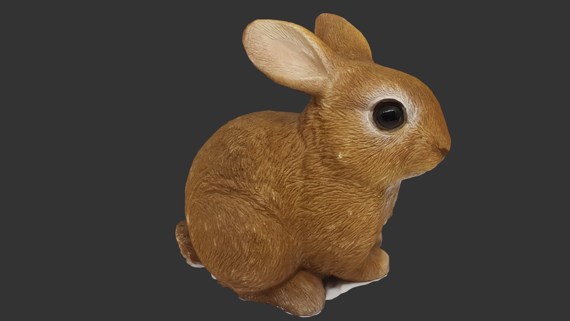Here is a rustic, ceramic, brown Netherland Dwarf Rabbit 3D model. This was created using Agisoft Photoscan. Its dimensions are 11cm x 7cm x 10.5cm. Photos were taken using a Samsung S8 phone, which has a F1.7 aperture and Pixel size of 1.22-1.4µm. This model was created for ES2802 university class module called GIS and the Earth Systems, a module conducted by the Asian School of Environment at Nanyang Technology University.