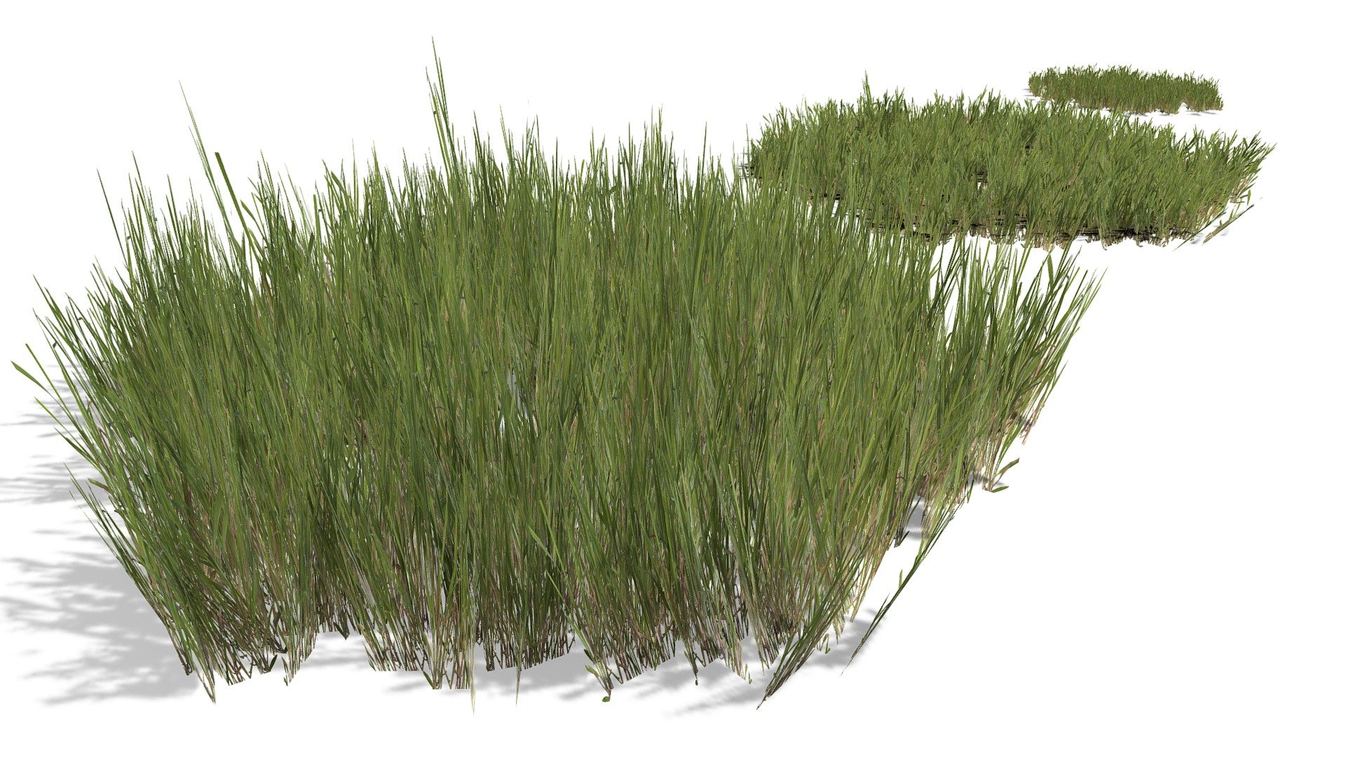 Grass Patches - Plants / Foliage
Realtime ready Grass Patches - Plants / Foliage, setup with PBR textures &amp; clean topology for use in 3d development. 

Check out our Main Collections

More in our Nature Collection