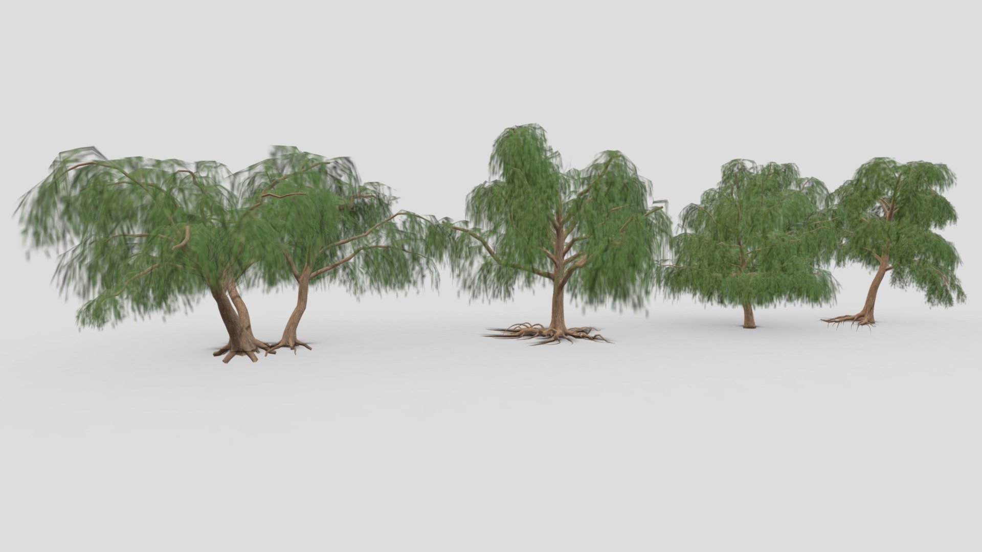 This is a low poly 3D Model collection of the Prosopis tree. This collection contains 4 3D Models of the Prosopis tree. I tried to provide you a low poly collection of the Prosopis Tree, you can use that in your projects.