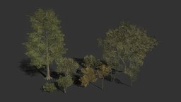 Tree Pack (Optimized) tree, green, plant, plants, palm, vegetation, nature, vegitation, mobilegames, mobile-ready, atlastexture, low-poly, mobile