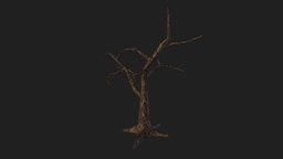 Tree A tree, green, forest, evergreen, leaf, vegetation, foliage, bark, vegetable, deciduous, leaves