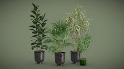 Indoor Plants Pack 52 tree, green, pot, tropical, fan, indoor, exotic, potted, ceramic, dracaena, rubber, palmtree, elastica, ficus, variegata, schefflera, livistona, interior, chinensis