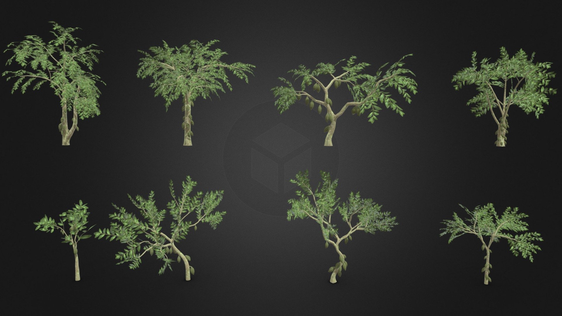 This is a 3D low poly model of a Cacao tree pack. This pack contains 4 models that you can use in your projects.

Info:

Theobroma cacao is a small evergreen tree in the family Malvaceae. Its seeds, cocoa beans, are used to make chocolate liquor, cocoa solids, cocoa butter, and chocolate. Native to the tropics of the Americas, the largest producer of cocoa beans in 2018 was Ivory Coast, at 2.2 million tons.