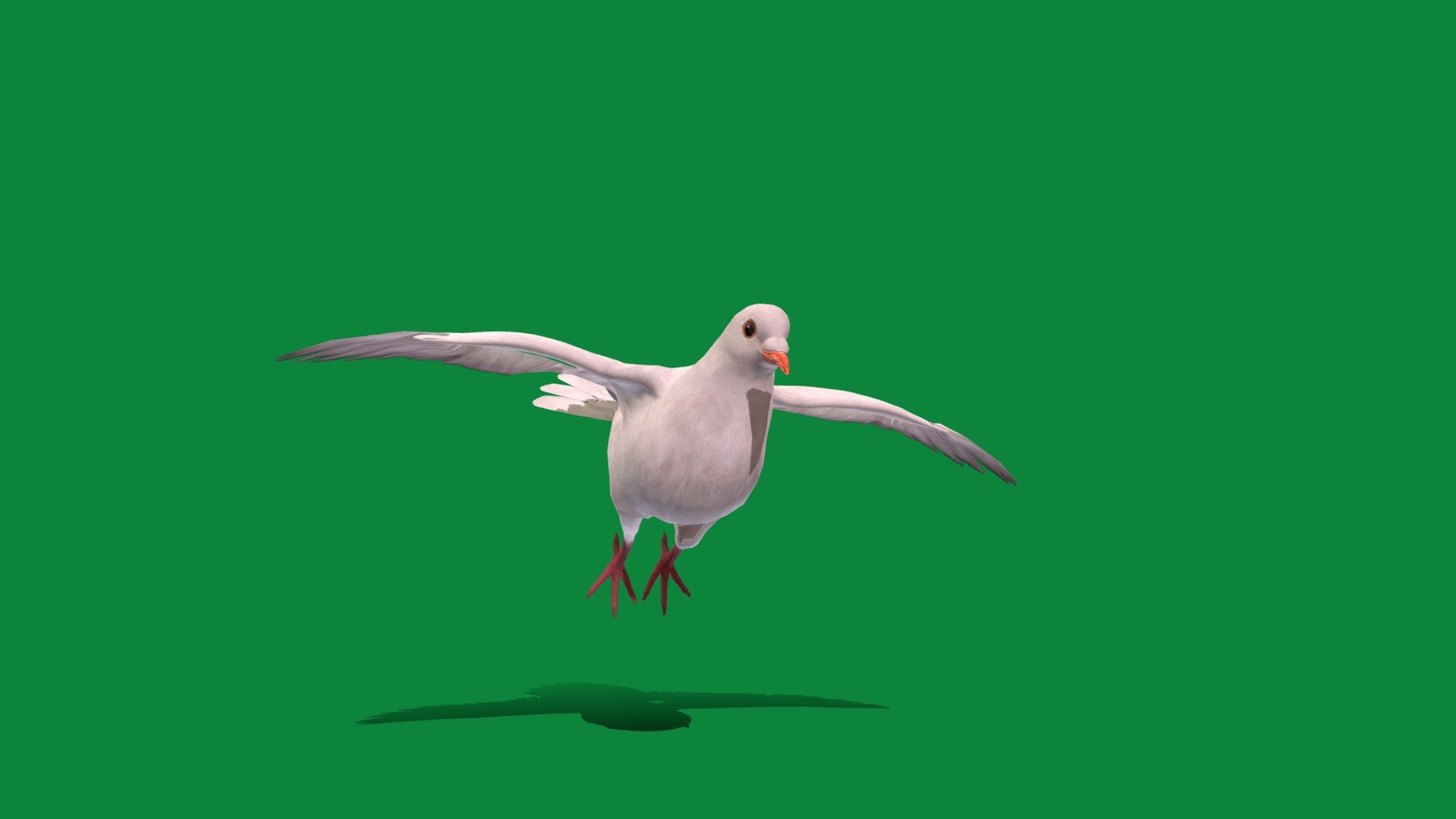

White-winged Dove Bird (Columbidae)Mourning Dove,United States,Caribbean

Zenaida asiatica Animal Bird(White Bird )Pet,Cute

1 Draw Calls

LowPoly

Game Ready (Character)

Subdivision Surface Ready

5 Animations 

4K PBR Textures 1 Material

Unreal/Unity FBX 

Blend File 3.6.5 LTS / 4 Plus

USDZ File (AR Ready). Real Scale Dimension (Xcode ,Reality Composer, Keynote Ready)

Textures Files

GLB File (Unreal 5.1 Plus Native Support,Godot)

Gltf File (Spark AR, Lens Studio(SnapChat),Effector(Tiktok),Spline,Play Canvas,Omiverse)Compatible

Alembic File (ABC)

Triangles -9336

Faces -5167

Edges -10837

Vertices -5694

Diffuse, Metallic, Roughness , Normal Map ,Specular Map,AO

The white-winged dove is a dove whose native range extends from the Southwestern United States through Mexico,Central America, the Caribbean.Large for doves,can be distinguished from similar doves by the distinctive white edge on their wings.They have a blue eyering,  red eyes.