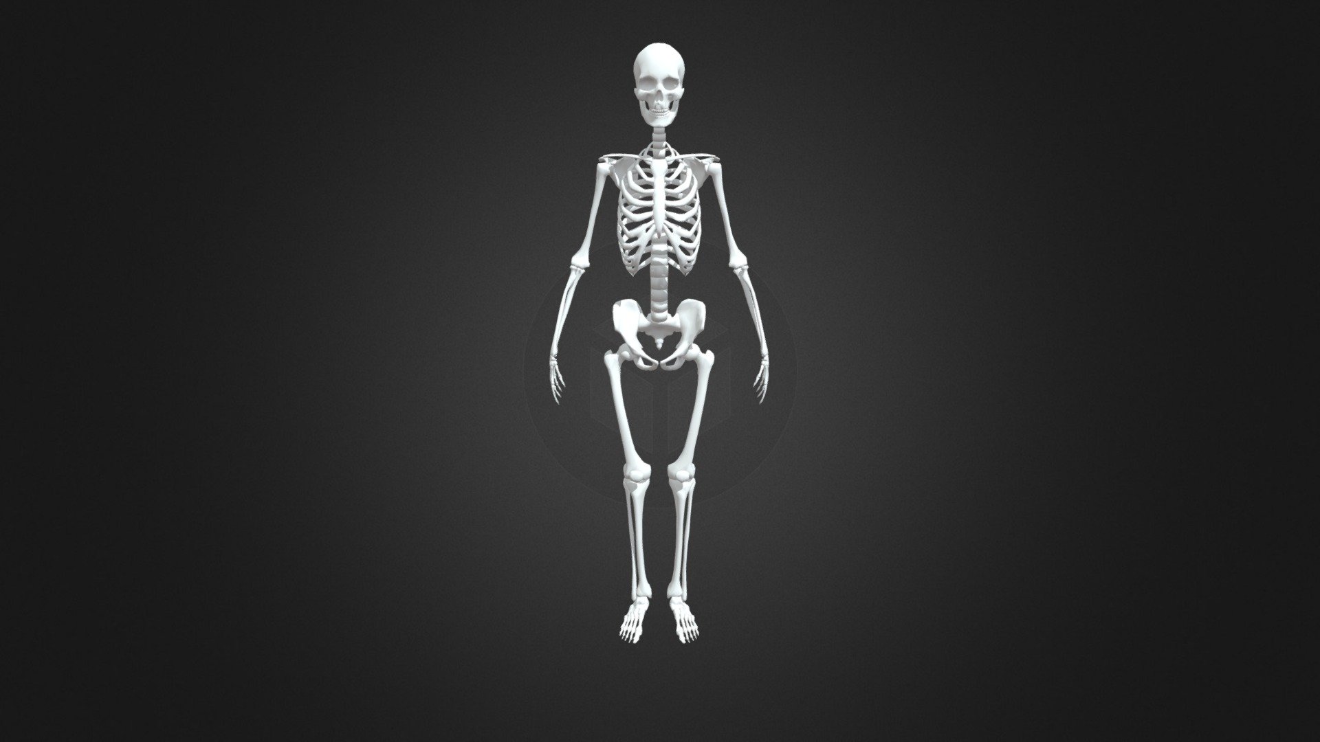Game ready skeleton model rigged and animated on mixamo.