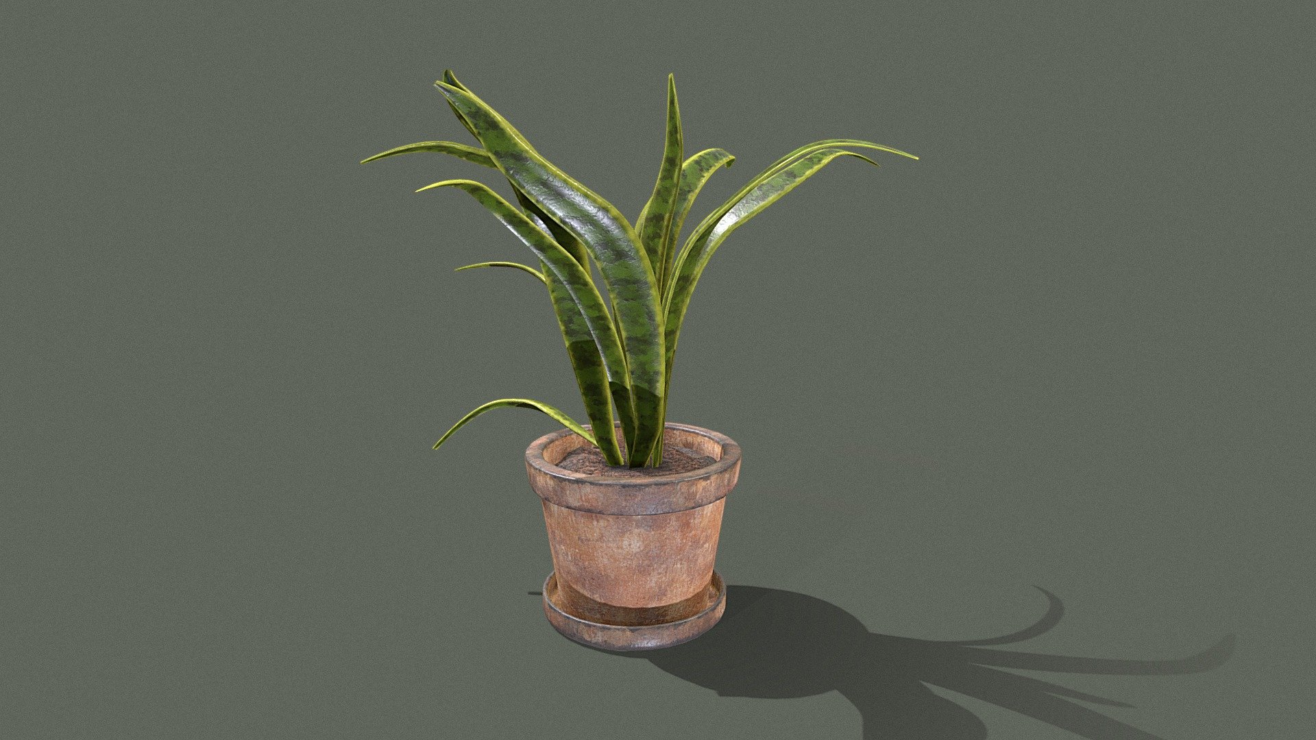 Simple snake plant, useful prop for any sort of interior/exterior environment.  Plant also contains a worn plant pot and dish.

PBR textures @4k
