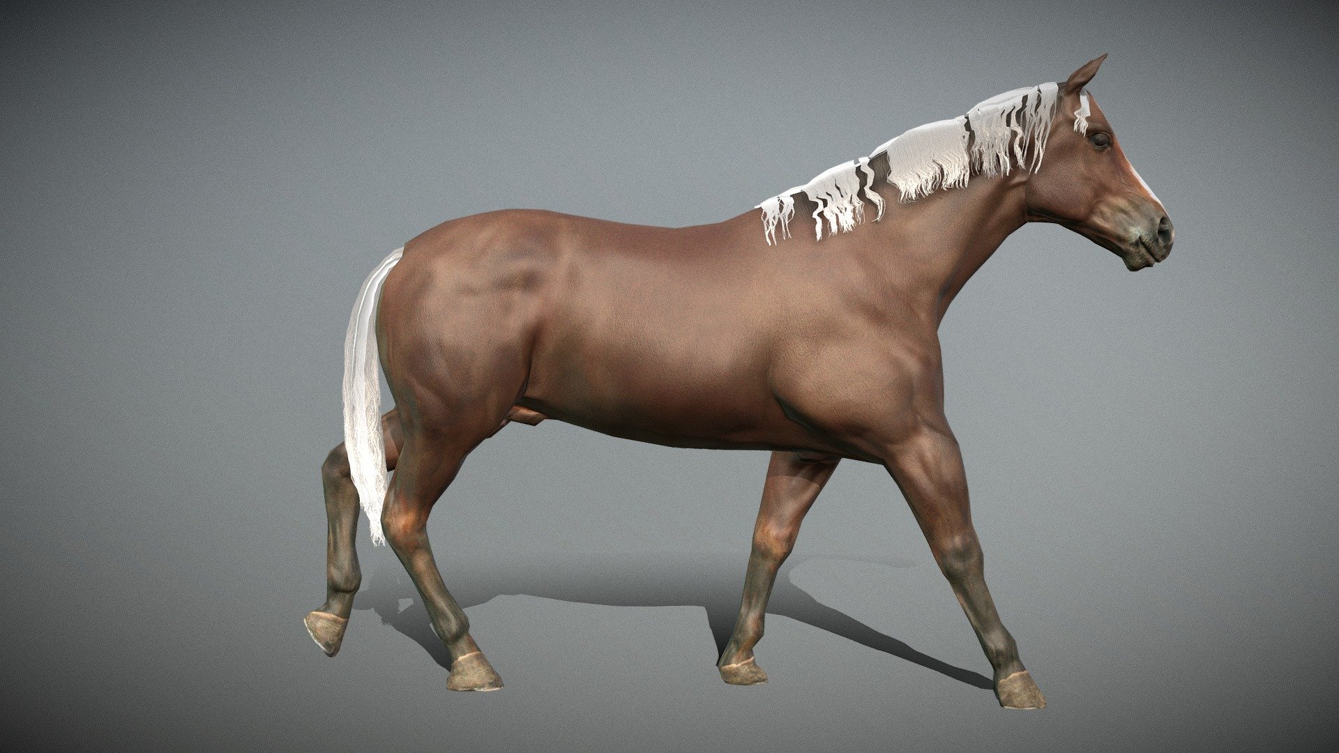 Horse animated walkcycle in fbx file format