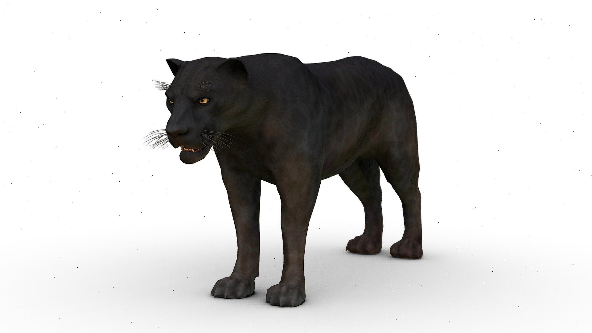 NOTE! Download the ” Additional File ” to get all file. Such as, Blend file ( Rigged &amp; Unrigged ), Fbx file, GLB file and all texture set!

|| PRODUCT DESCRIPTION ||
-This is a model of a Black Panther
-Originally created with Blender
-Model resolutions are optimized for polygon efficiency
-The model is fully textured with all materials applied.

This model contains ;
Static model, 
Bonus Rig model (using rigify blender), 
PBR Texture (Diffuse, Rougness, Metallic, Nomal Map and Heightmap) and blender principled bsdf texture set

|| USAGE ||

-This model is suitable for use in your game, film, advertising, AR/VR, Presentation, etc.

|| SPECS ||

Polycount (Quads)
Vertices 6,731 Faces 6,661 Triangles 12,680