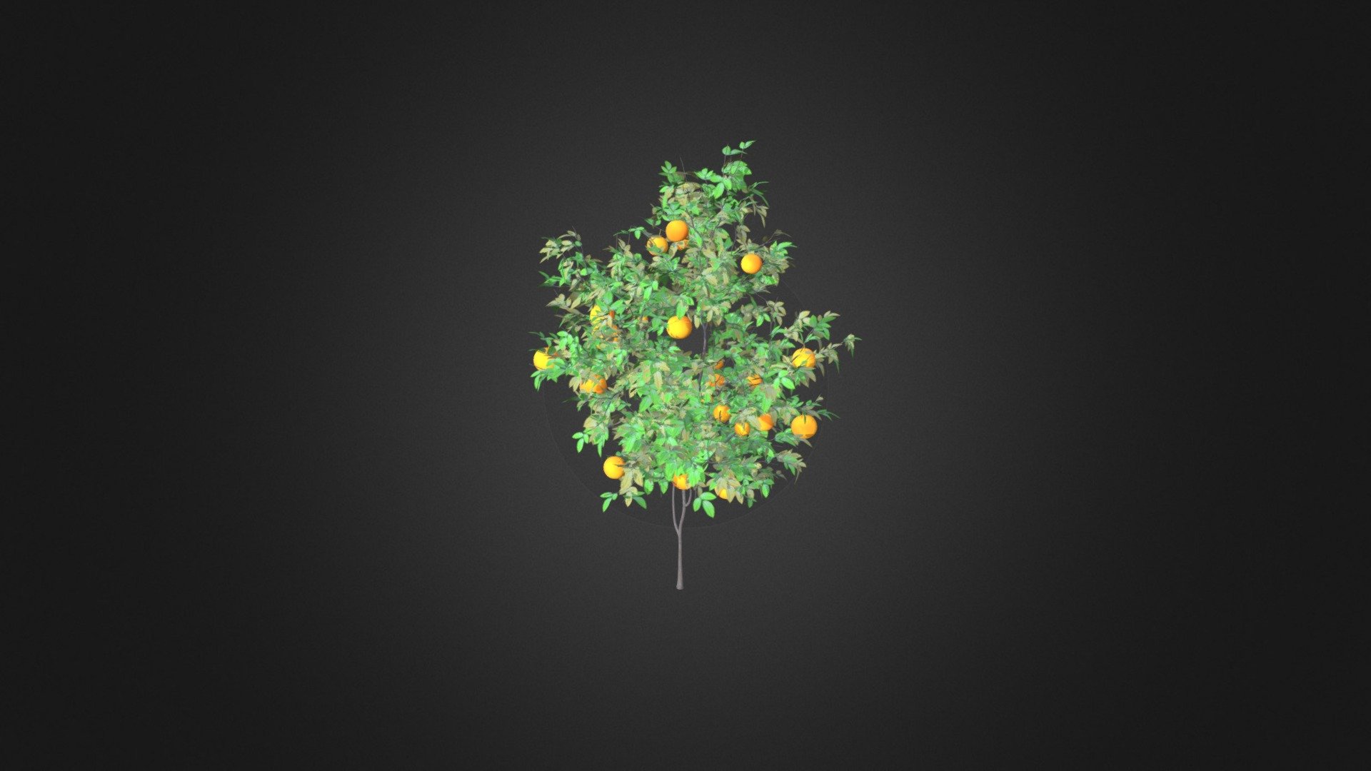 Orange Tree with Fruits 3D Model 2.1m
