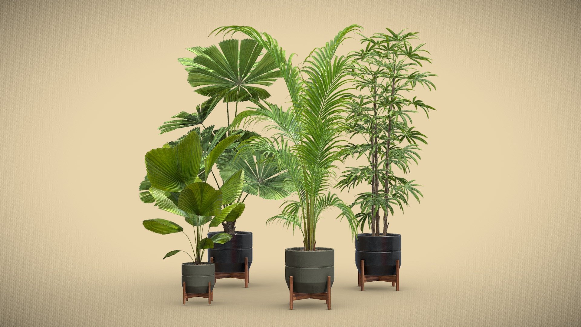 Indoor Plants Pack 49

This selection of indoor exotic plants will provide a level of detail that will take your visualizations to the next level.

Models can be subdivided for more definition.




Licuala Grandis

Licuala Spinosa

Rhapis Excelsa

Dypsis Lutescens

4k Textures




Vertices  81 224

Polygons  61 890

Triangles 123 036

