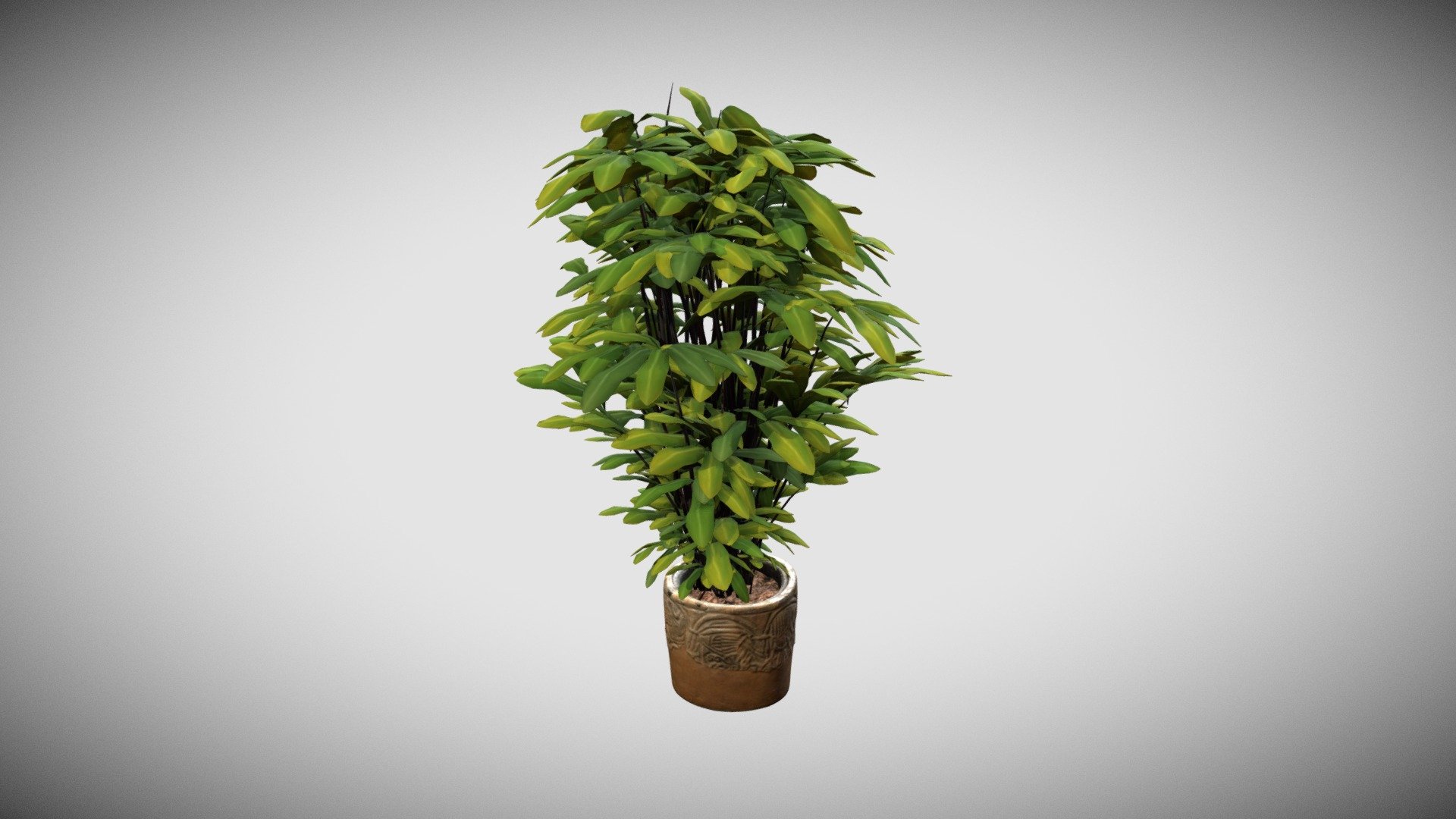 From a nice 3D Scan....