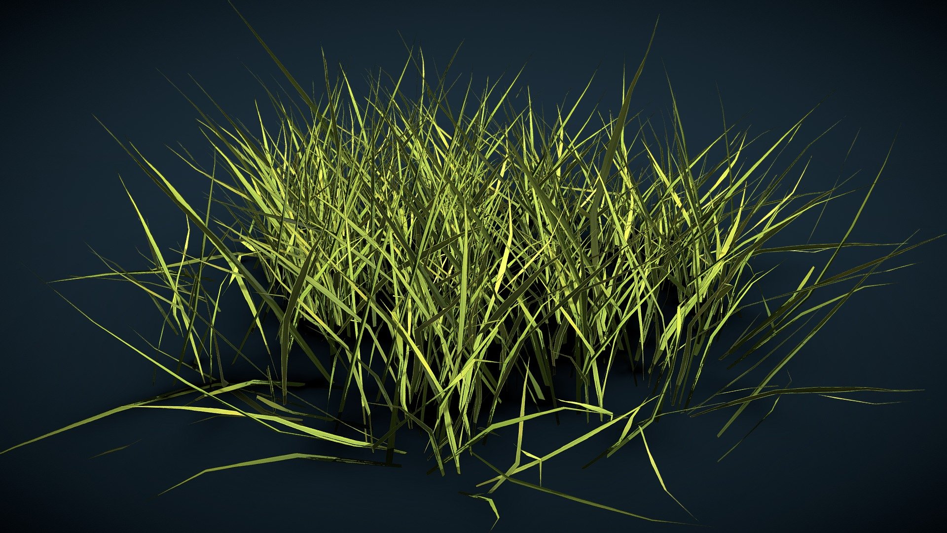Realistics grass
free realistics grass scan
low poly grass 3d modal
high poly grass 3d modal
this modal is free
prisma 3d grass scan modal