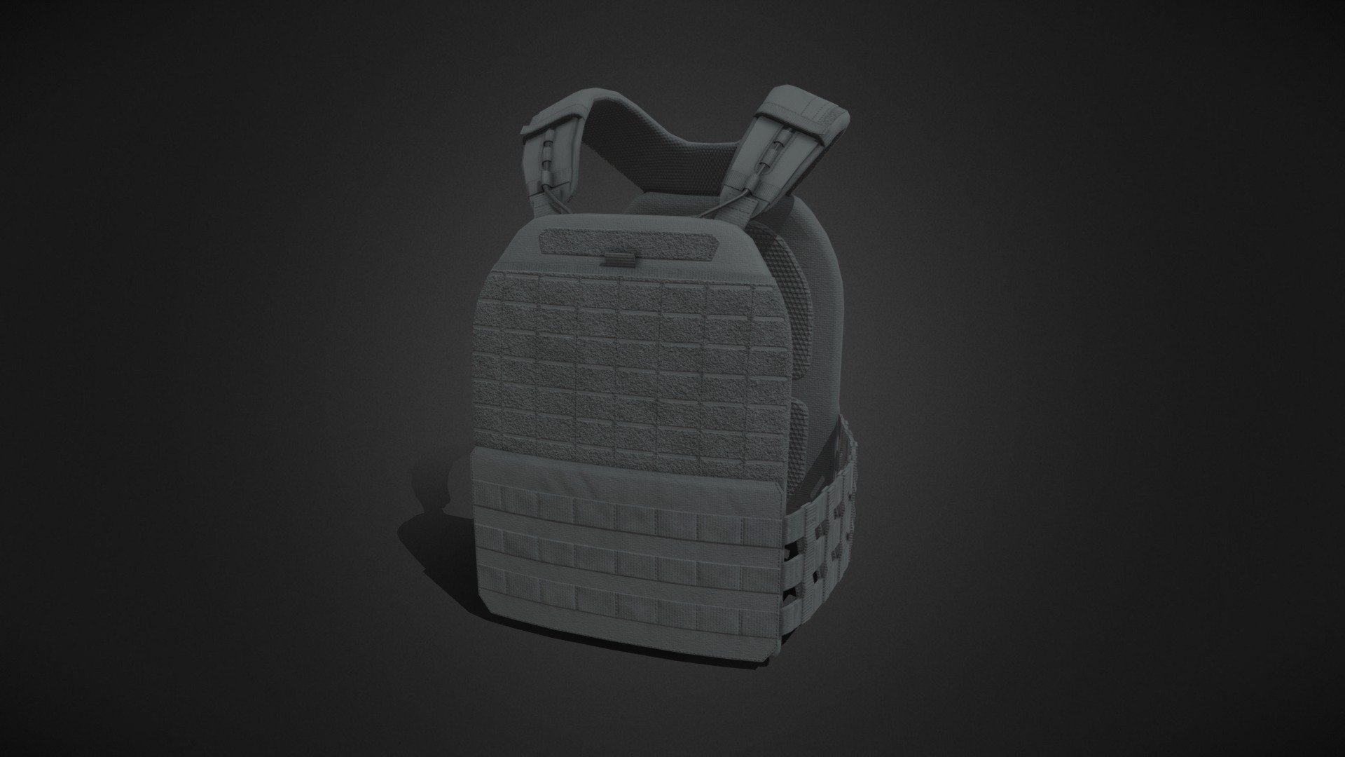 Plate carrier widely used in military/police service, as well as fitness competitions.