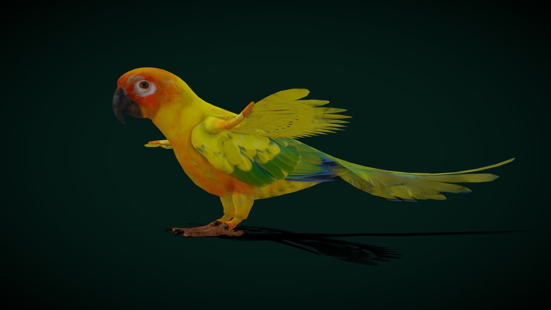 

Sun Conures (Yellow parrot,Sun parakeet) Cute, Pet 

Aratinga solstitialis Animal Bird    (colored parrot)  

1 Draw Calls

Low Poly

4K PBR Textures Material

Blend File 

USDZ File (AR Ready). Real Scale Dimension

Textures Files

GLB File (Unreal 5.1  Plus Native Support)

Gltf File ( Spark AR, Lens Studio(SnapChat) , Effector(Tiktok) , Spline, Play Canvas,Omiverse ) Compatible

Triangles : 8460

Vertices  : 5361

Faces     : 4262

Edges     : 9499
 Diffuse, Metallic, Roughness , Normal Map ,Specular Map,AO
Sun Conures (Aratinga solstitialis) at the North Carolina Zoo in Asheboro, North Carolina. This species is listed as Endangered by the IUCN.
The sun conure, also known as the sun parakeet, is a medium-sized, vibrantly colored parrot native to northeastern South America. The adult male and female are similar in appearance, with black beaks, predominantly golden-yellow plumage, orange-flushed underparts and face, and green and blue-tipped wings and 
Scientific name: Aratinga solstitialis
