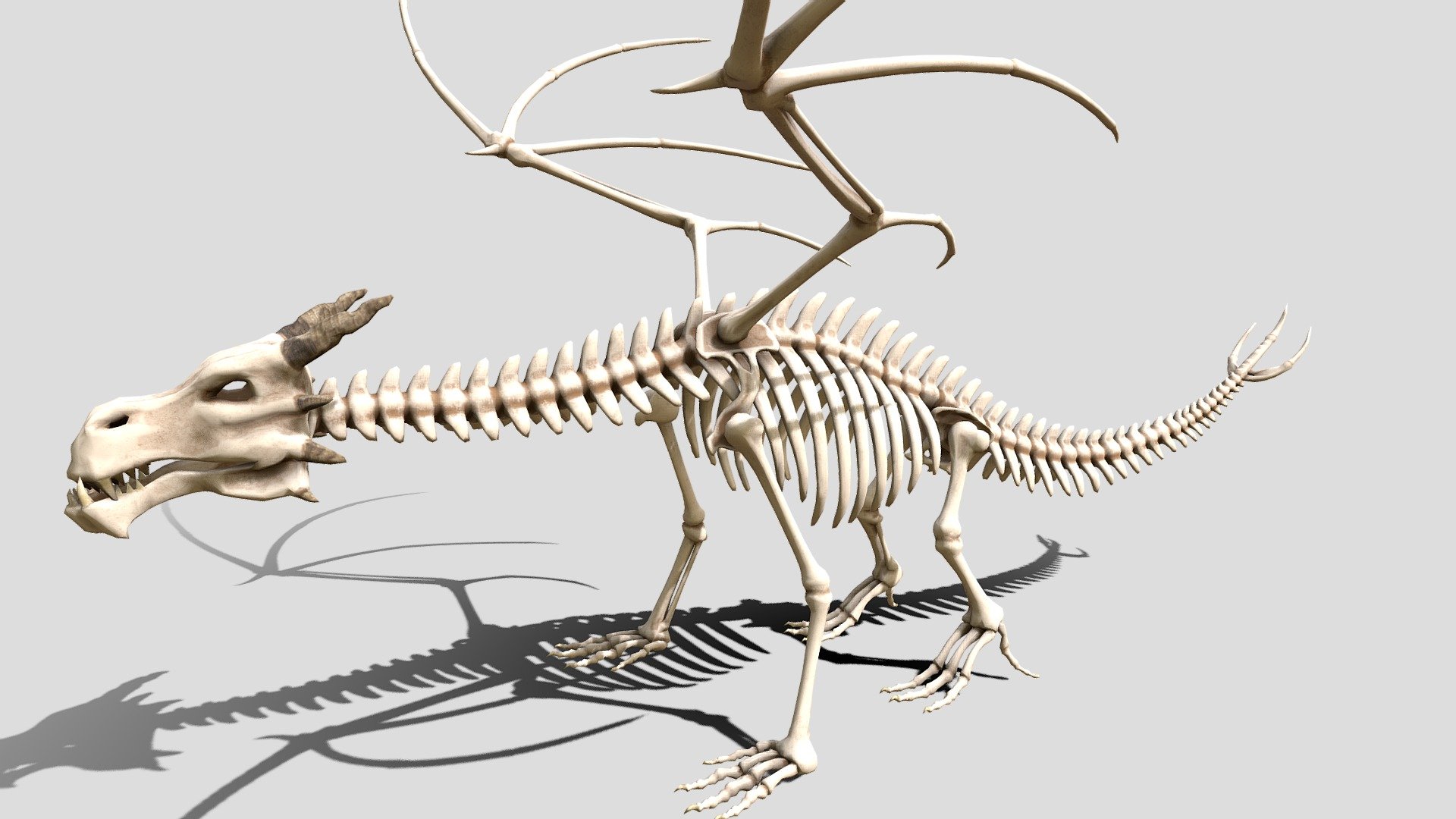 Dragon skeleton for 3d printing