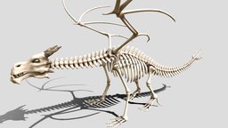 Dragon skeleton skeleton, bone, print, 3d, monster, dragon