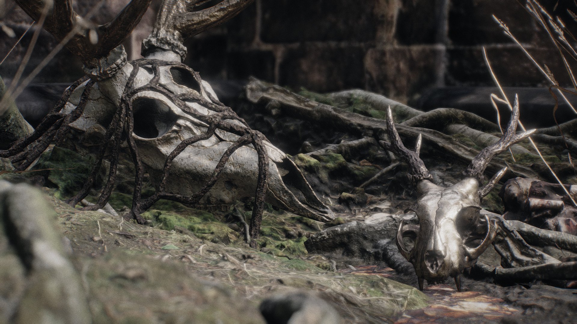 this scene features 2 new skulls i made. they were both sculpted, retopologized and textured by hand. the white deer skulls has 6K textures (the roots are a seperate mesh and can just be removed). the feline skull has 4K Textures. all the objects in this scene have PBR materials with at least 3 textures each.