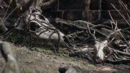 skull ruin scene skulls, scene, plant, ruin, ruins, plants, sculpted, ambient, photorealistic, natural, realistic, nature, retopologized, antlers, ambience, photogrammetry, pbr, skull, dark