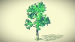 Jabami Anime Tree v2 tree, manga, anime