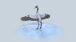 Eurasian Crane bird, birds, animals, snow, realtime, crane, stork, cranebirds, substancepainter, blender, zbrush, animal, stylized, gameready, noai