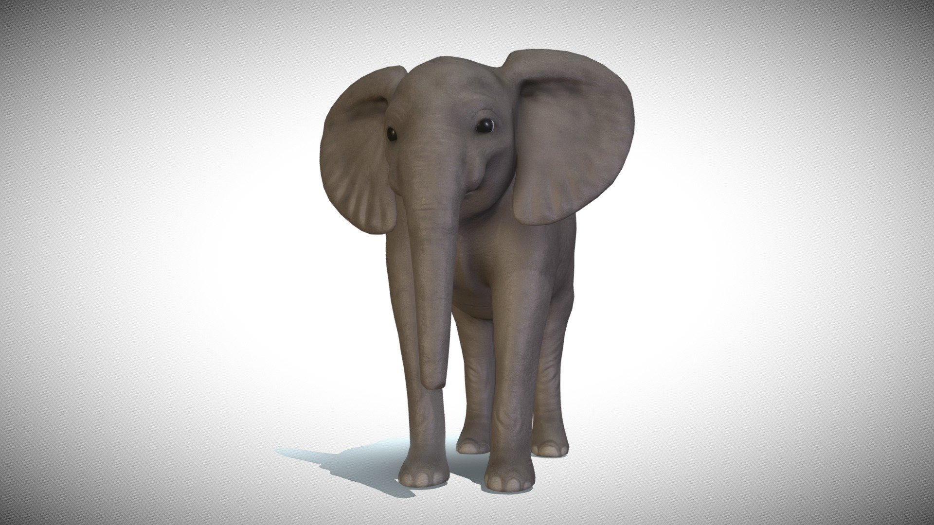 Real time elephant model