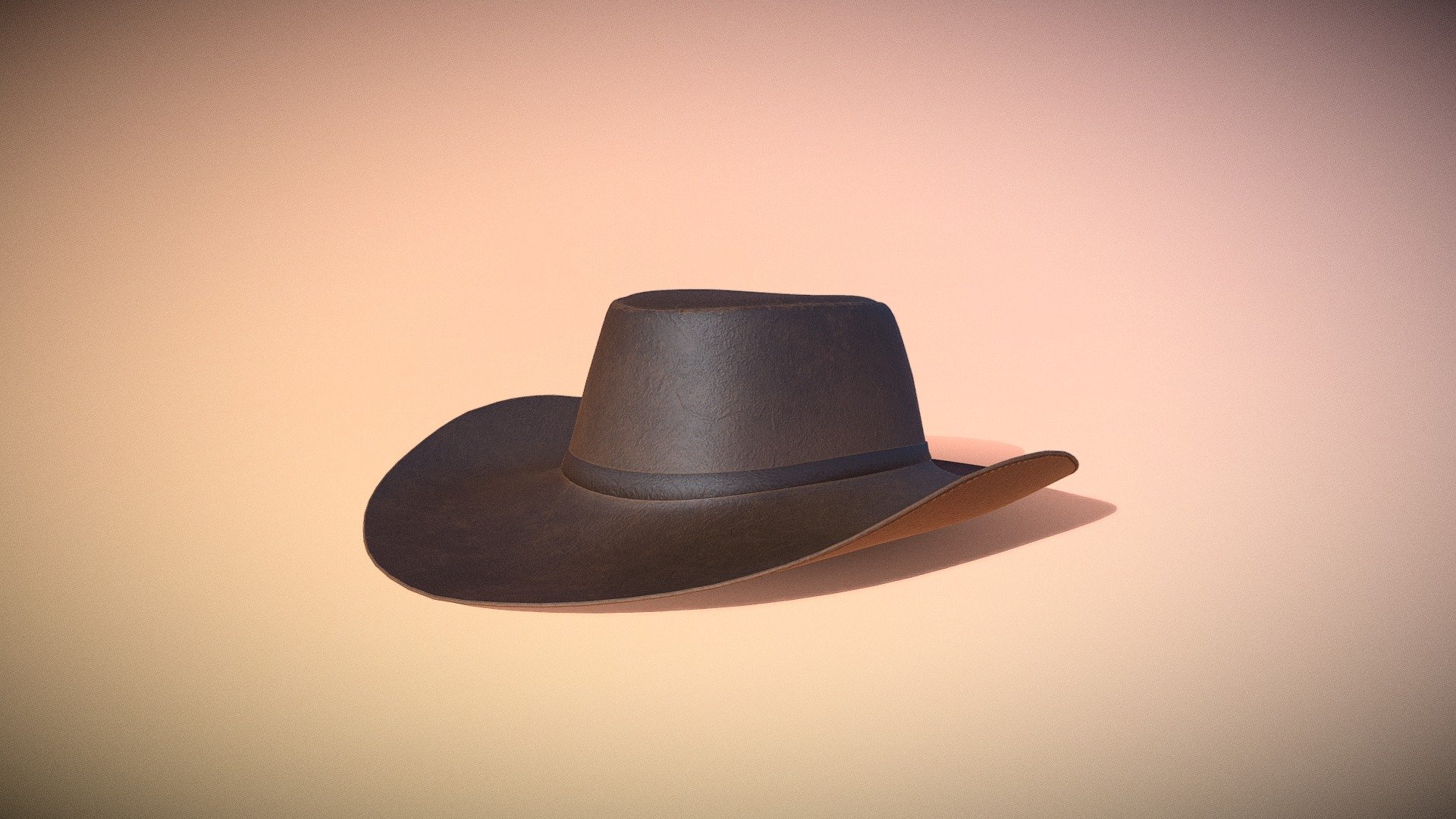 A leather cowboy hat.