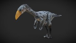 Terror Bird (Phorusrhacos) - Rigged bird, birds, games, videogame, animals, npc, paleontology, nature, extinct, theropod, game-ready, avian, video-games, paleoart, prehistory, iceage, game-asset, theropoda, game-character, wwb, phorusrhacos, aves, terrorbird, rigged-character, rigged-model, cenozoic, animalia, character, asset, game, gameasset, animal, prehistoric, rigged, gameready, riggedcharacter, phorusrhacidae, extinctanimals, gastornis, walkingwithbeasts, rigged-animal, extinct-animal