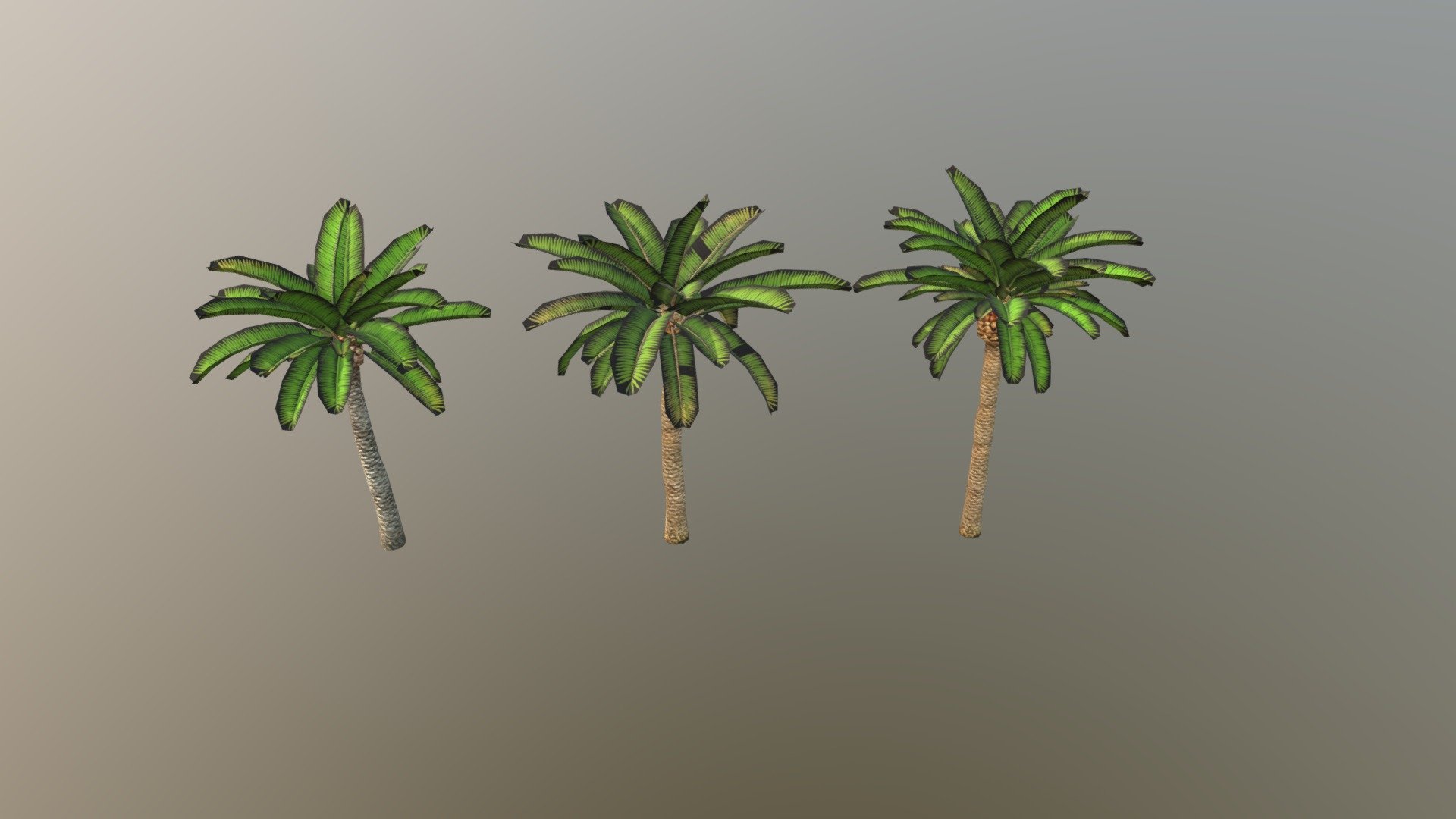 3D Palm Trees
The pack has highly detailed palm trees ready for use in your project. Just drag and drop prefabs into your scene and achieve beautiful results in no time. Available formats FBX, 3DS Max 2017



We are here to empower the creators. Please contact us via the https://aaanimators.com/#contact-area if you are having issues with our assets. Our team will get back to you momentarily.




 The following document provides a highly detailed description of the asset:
[READ ME]()




**Mesh complexities**


Palm_02 a 2705 verts; 2999 tris

Palm_02 b 4140 verts; 4648 tris

Palm_02 c 4497 verts; 4999 tris



Includes 2 sets of textures with 3 materials:




● Diffuse

● Normal

● Specular