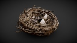 Bird nest - Game model bird, nest, twig, wood