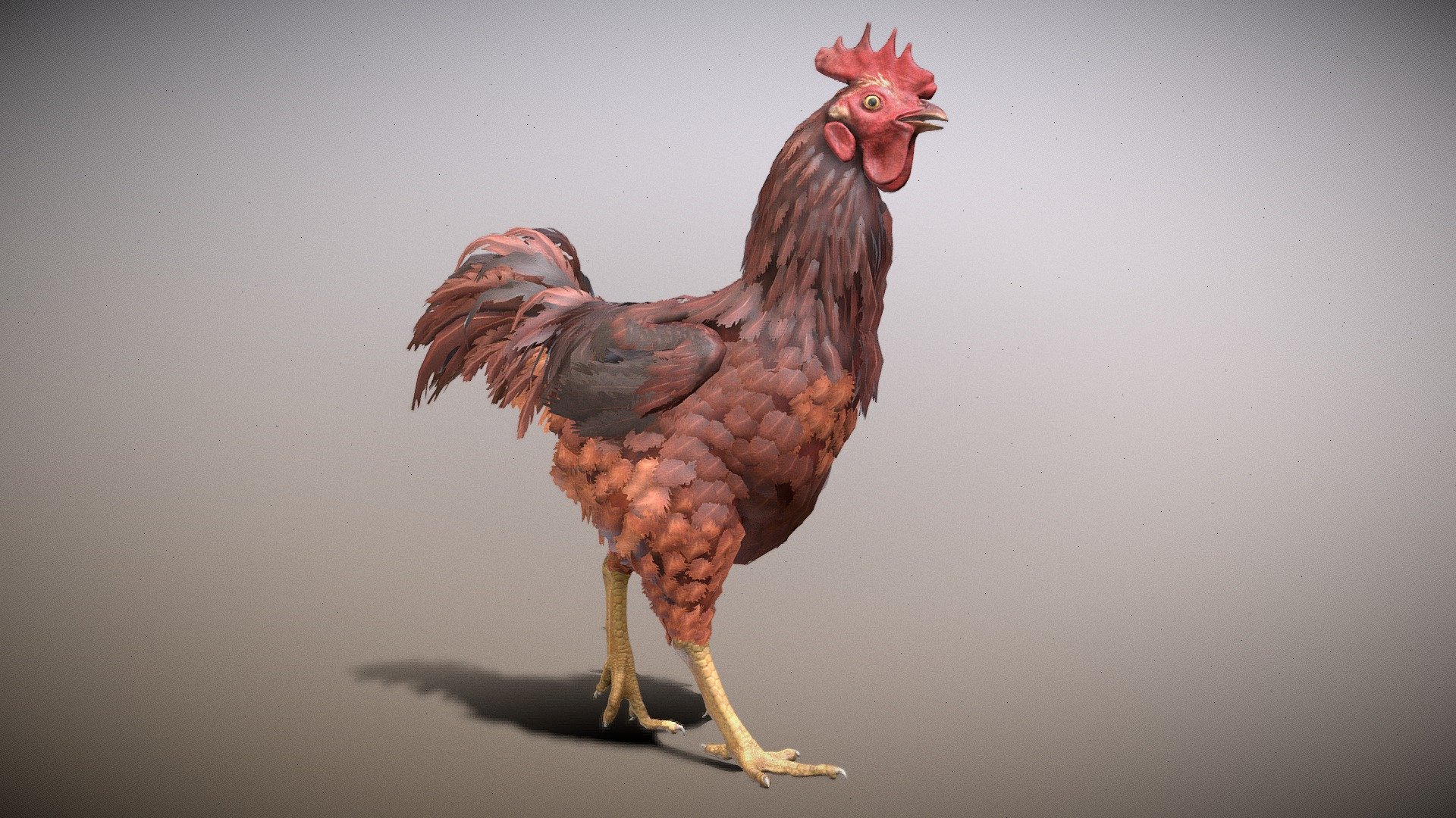 Chicken Walk Animated 
in FBX File Format

Game ready model