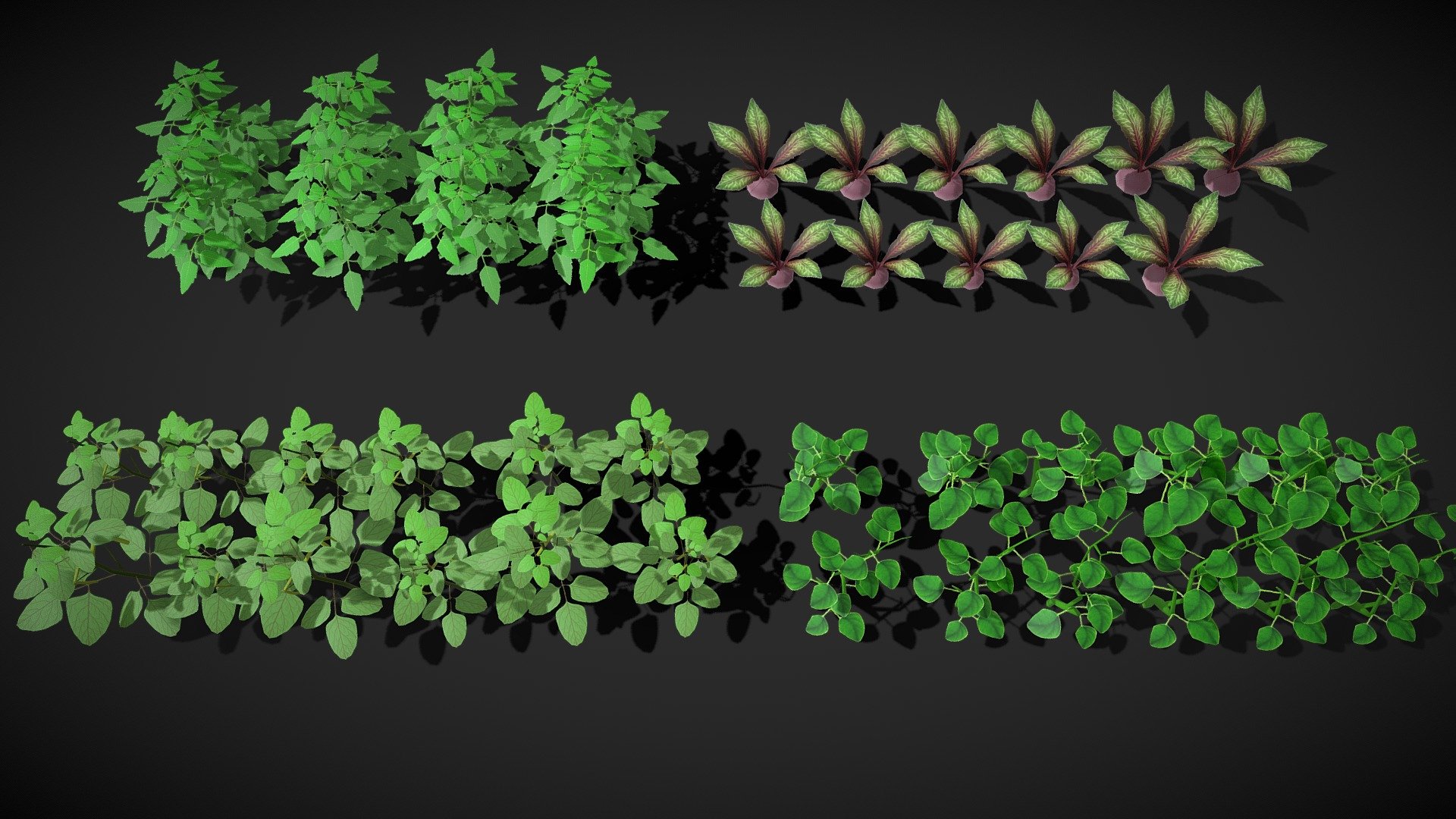 Bring your virtual worlds to life with this comprehensive collection of low-poly vegetable plants, perfectly optimized for real-time game engines, simulations, and architectural visualizations. 

Key Features:
* Optimized for Performance: Designed with low triangle counts for smooth real-time rendering.
* Variety of Crops: Includes Tomato, Peas, Turnip, and Moong plants.
* Texture:hand painted single texture for low size and best optimization.
* Game-Ready: Clean topology, efficient UV layouts, and ready to be dropped directly into your game development pipeline.**

Scalable: Easily duplicate and arrange plants to create lush fields or detailed garden scenes.

Technical Details:
* Total Triangles: 7,300
* Individual Plant Triangle Counts:
* Tomato Plant: 150 tris
* Peas Plant: 172 tris
* Turnip Plant: 90 tris
* Moong Plant: 251 tris
* Texture Resolution: 2K (2048x2048)
* Texture Maps: Albedo (Base Color), (PNG format)