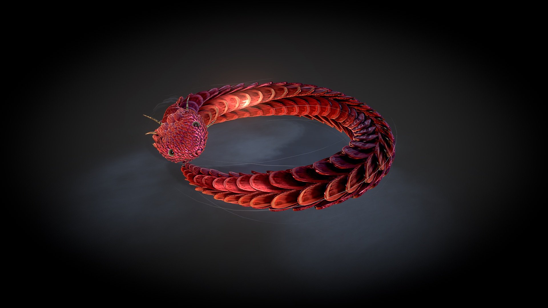 Usually Ouroboros is eating its own tail. This however is a calm one.

About Ouroboros

Ouroboros, emblematic serpent of ancient Egypt and Greece represented with its tail in its mouth, continually devouring itself and being reborn from itself. A gnostic and alchemical symbol, Ouroboros expresses the unity of all things, material and spiritual, which never disappear but perpetually change form in an eternal cycle of destruction and re-creation. -https://www.britannica.com/topic/Ouroboros

Some snakes, such as rat snakes, have been known to consume themselves. One captive snake attempted to consume itself twice, dying in the second attempt. Another wild rat snake was found having swallowed about two-thirds of its body.

**If you want the same look in blender, Use the plugin to import it. or download the additional .zip file. it has materials with textures assigned. **
