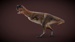Carnotaurus sculpt, carnotaurus, blender, dinosaur, dino