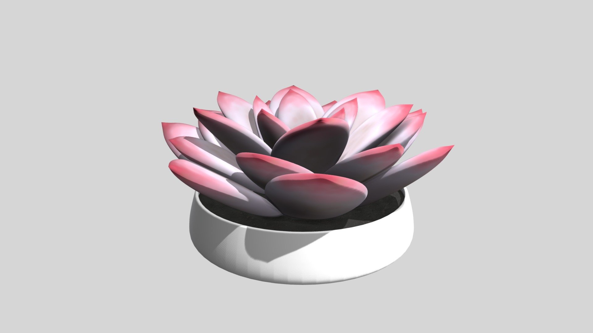 Potted Succulent Plant ready to go into your next project.  Created with 3ds Max and Vray