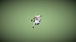 Cow-Dragged up 