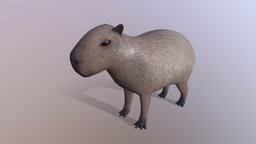 Capybara cute, game-ready, rodent, capybara, animal, noai