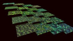 Grass: Pine Forest 20 TEXTURES (Handpainted) #3 forest, grass, pine, handpaint, floor, ground, nature, tileable, game, texture