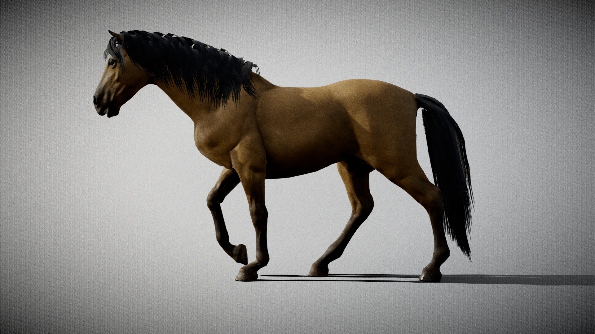 Horse, created in Blender, Zbrush Core and Substance Painter original blender file in the Zip folder uploaded!

Textures 4096x4096:* - body: albedo, roughness, Ambient occlusion, normal, - eyes and teeth: albedo, roughness, Ambient occlusion, normal, opacity - mane and tail: color node, normal and opacity

In the NLA editor there are 3 option: - walk cycle - run  cycle