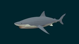 Great White Shark fish, fishing, river, underwater, animals, lake, ocean, aquarium, aquatic, sealife, white-shark, oceanlife, fish-cartoon, low-poly, animal, animated, simple, sea