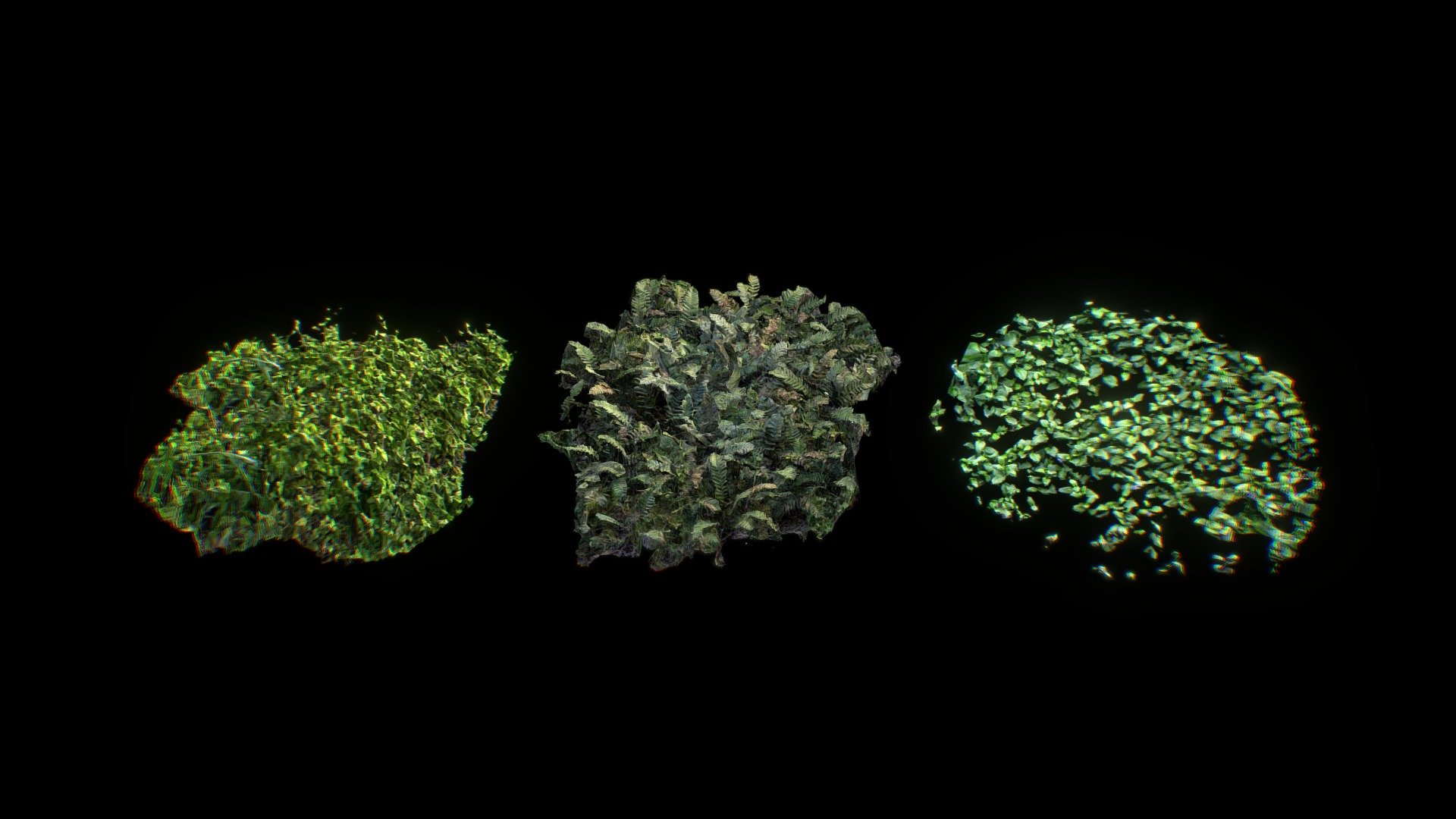 Bunch-o-Plants

Great for varying  ground cover and forest scenes. They'll at some great variation to any natural scene. These models are made using PolyCam photoscaning and as such have sub-optimal topology. They all have full PBR materials including occlusion and normal maps.

Thanks and enjoy!