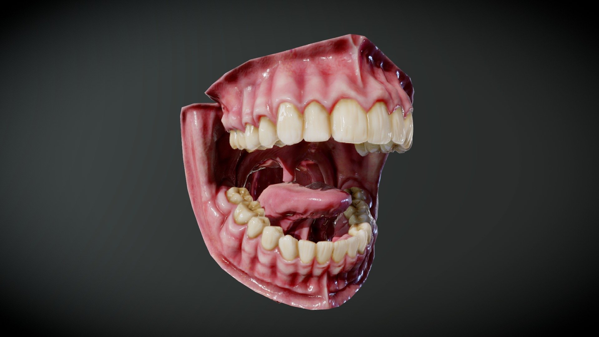 art: https://www.artstation.com/artwork/3qGxNA

Not anatomical enough but this is such an idea (hypertrophied proportions etc)
Free to download and use! Enjoy!  :)