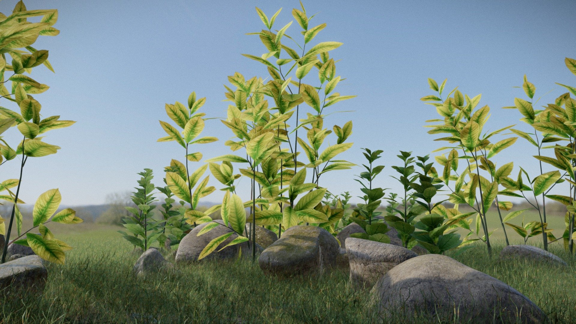 Plants Scene Free!
Thanks Sketchfab Team and My Followers.



Another Free Asset for achieving 300+ Followers. All the assets used in this scene are free.




Link For the Free Assets :-
https://sketchfab.com/3d-models/realistic-grass-pack-for-games-free-9b958d613e9a44dbba580748e7a1789c



https://sketchfab.com/3d-models/smooth-rocks-pack-4503b42e55fd4fd4b42f0f18abc43298



https://sketchfab.com/3d-models/ivy-high-poly-f10e66e2e77a4dda9a7147cd89f2082b



https://sketchfab.com/3d-models/more-realistic-trees-free-b5b506fc4f5d4af9b546283bdf0c6a15


Thank You!

Like and Follow for more free models in future!