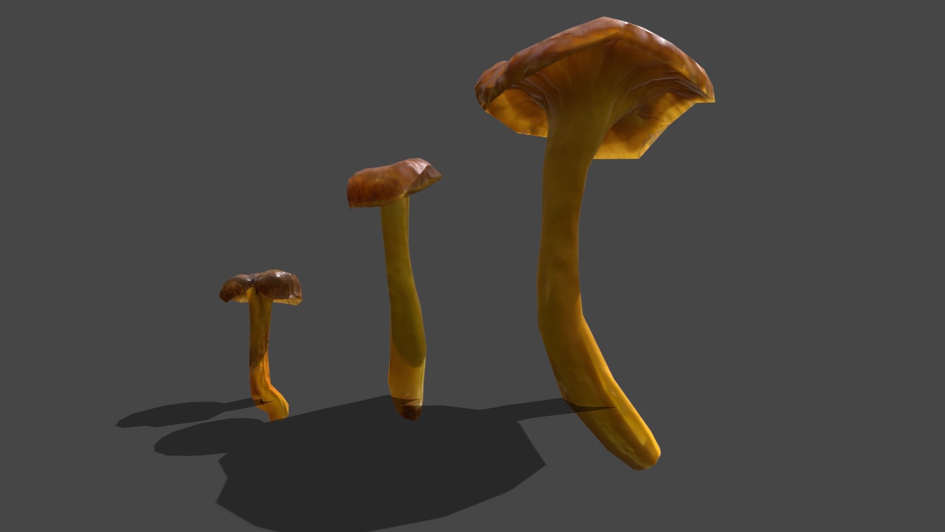 Mushroom number 27

Craterellus tubaeformis

Contains 3 differents lowpoly scans at different state of growth

2k sized texture (base color, roughness, normal map, translucent)

Quad topology (easily subdivided)



Contains the raw scans in the additional file (obj format)



Also available in this pack



Made with Metashape, Blender, Materialize and Subtance painter



If you have any questions, contact me here:

zacxophone3d@gmail.com


