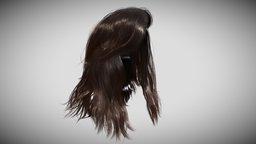 Real Time Hair Card Female Hairstyle part 02 hair, realtime, head, femalecharacter, female-head, haircards, hairstyle, long-hair, gameready, character-heads, noai