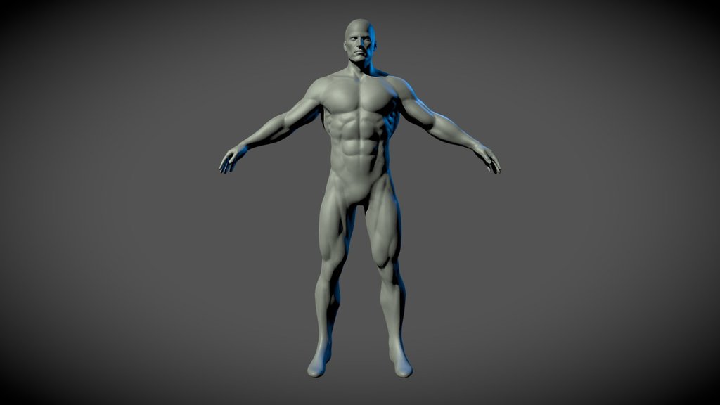 Basmesh of a male with Superhero proportions. Serves as a good starting point for creation of heroic body type man. Simply modify anatomy to your liking and add the desired accessories. ZBrush file with multiple subdivisions is available for purchase HERE